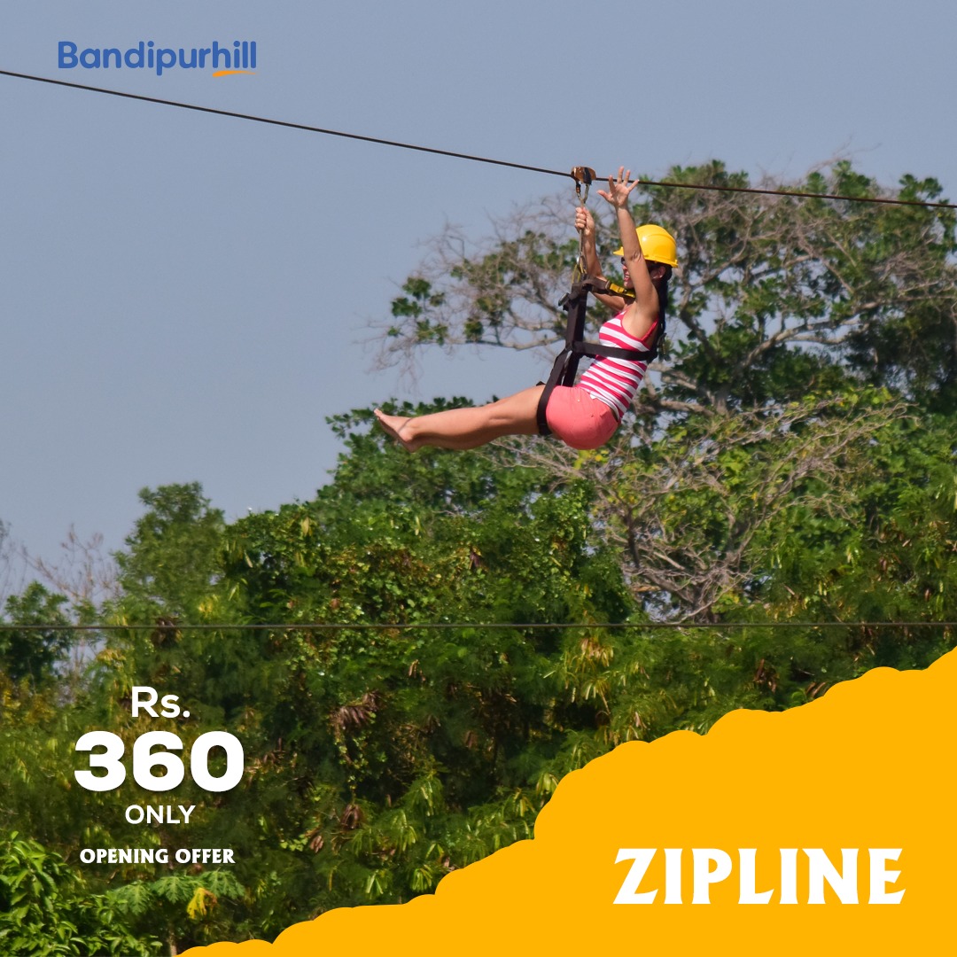 Zipline Adventure